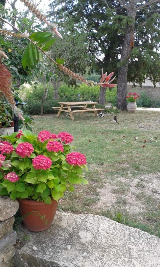 Agriturismo Le Stiacce Saturnia Exterior foto